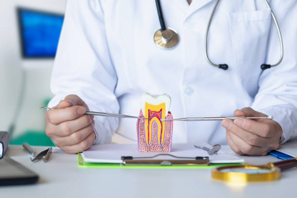 Best Urgent Care for Lost Fillings or Crowns in Lake Park, FL
